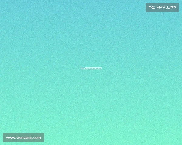 fifa焦点球员什么时候会更新