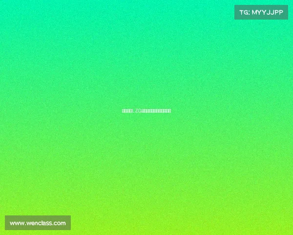 乐子战队LZG：全明星阵容的娱乐性尝试